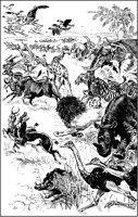 African Animals Running.tif