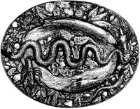 Animal Oval.tif