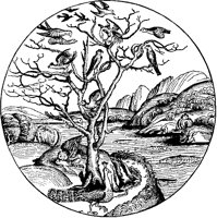 Birds and Fish Circle.tif
