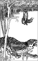Fox and Tiger.tif