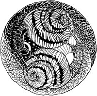 Stylized Snails.tif