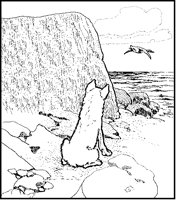 Wolf Watching Sea Bird.tif