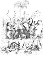 Animal Assembly 2.tif