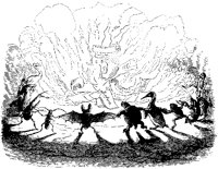 Animal Bonfire.tif