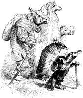 Animal Old Folks.tif