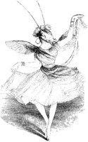 Grasshopper Ballerina.tif
