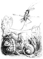 Grasshopper On Tightrope.tif