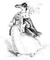 Gull Queen.tif
