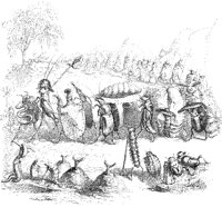 Insect Procession.tif
