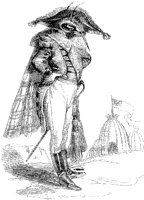 Napoleon Insect.tif