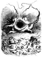 Octopus Fright 1.tif
