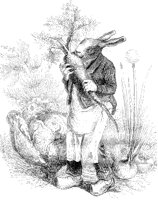 Rabbit with Wooden Shoes.tif