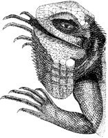 Iguana Head.tif