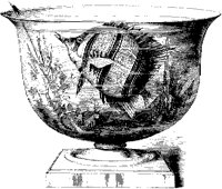 Fly-Shooter in Bowl.tif