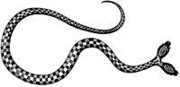 Two-Headed Snake.tif