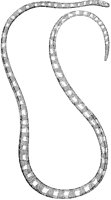 Banded Sea Snake.tif