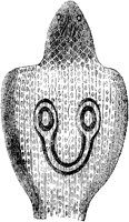 Naja Hood 2.tif