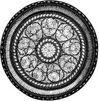 Indian Plate.tif