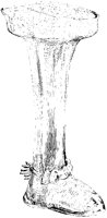 German Boot Vase.tif