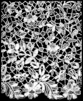 Honiton Guipure Lace.tif