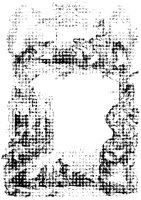 Animal Border.tif