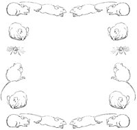 Mice Frame.tif
