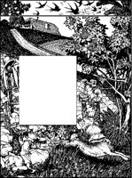 Rabbit Border.tif