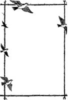 Rectangular Bird Border.tif