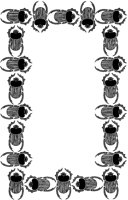 Scarab Beetle Border.tif