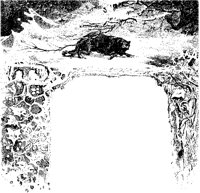 Wolf Winter Border.tif