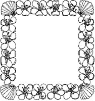 Lilies and Shells Border.tif