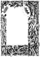 Sunflowers Border 2.tif