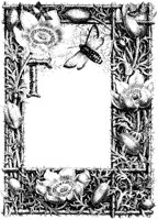 Anemone Border.tif