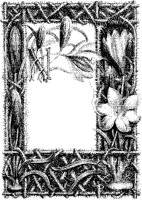 Crocus Border.tif