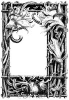 Daffodil Border.tif