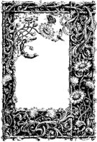 Daisy Border.tif