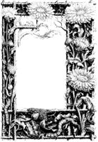 Marigold Border.tif