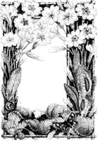 Primrose Border.tif