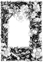 Wild Roses Border.tif