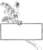 Rectangular Plant Border.tif