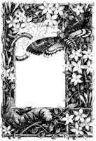 Jasmine Border.tif