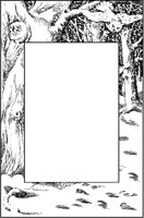 Owl Snowstorm Border.tif