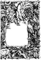 Roses and Butterfly Border.tif