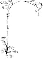 Arching Branch L-Border.tif