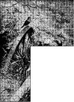 Bird on Wheel L-Border.tif