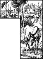 Medieval Donkey L-Border.tif