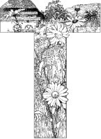 Daisy T-Border.tif