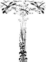 Dragonfly T-Border.tif