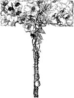 Thornflower T-Border.tif
