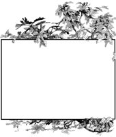 Fig Tree Border.tif